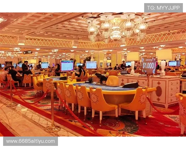 探索澳门葡京娱乐网：娱乐与博彩的完美结合